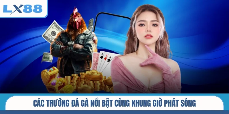 Các trường đá gà nổi bật cùng khung giờ phát sóng