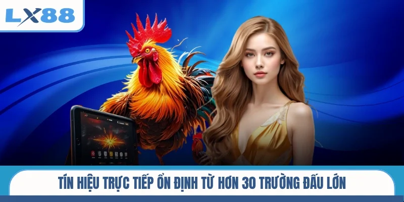 Tín hiệu trực tiếp ổn định từ hơn 30 trường đấu lớn