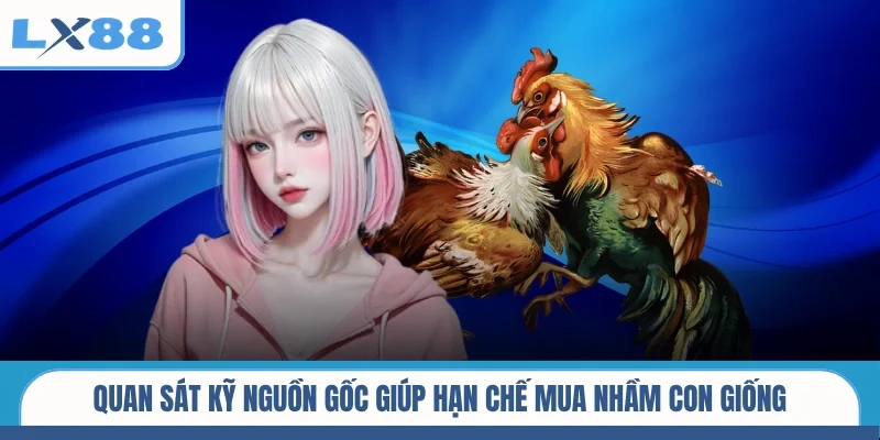 Quan sát kỹ nguồn gốc giúp hạn chế mua nhầm con giống