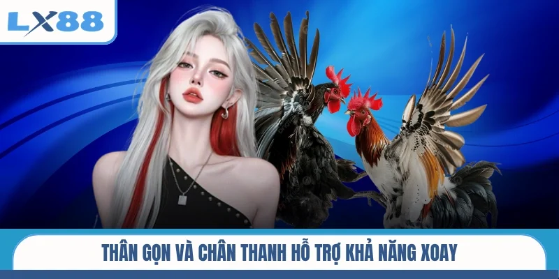 Thân gọn và chân thanh hỗ trợ khả năng xoay