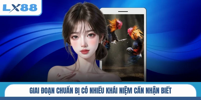 Giai đoạn chuẩn bị có nhiều khái niệm cần nhận biết